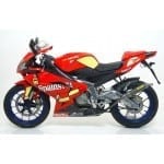 2839_Aprilia20RS201252007201.jpg